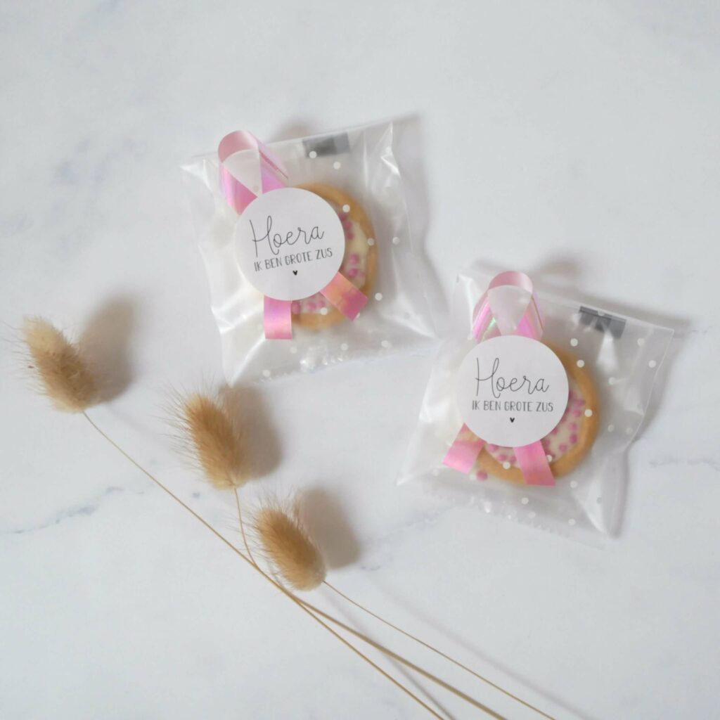 Kant en klare geboorte traktatie koekje met muisjes meisje (1)