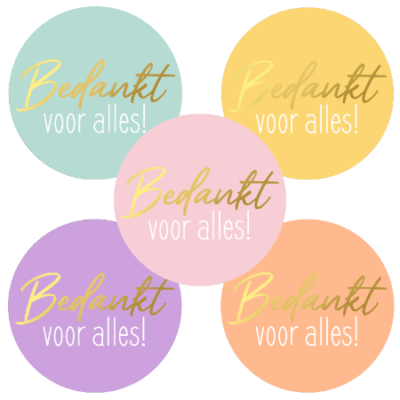 Sticker bedankt voor alles 5 assorti