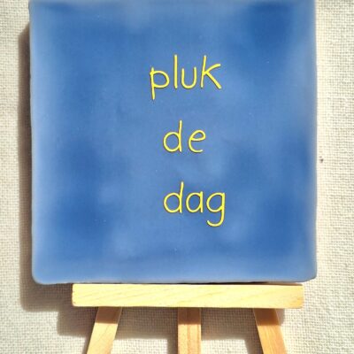 Tegel pluk de dag blauw
